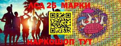 apvp Краснодар